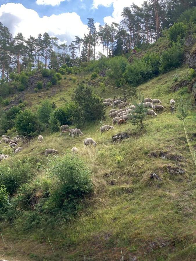 Forsterhof Lejlighed Pottenstein Eksteriør billede